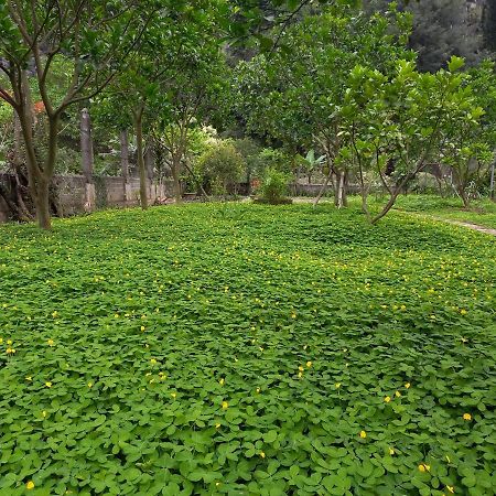 Yen Binh Homestay Ninh Bình Ngoại thất bức ảnh
