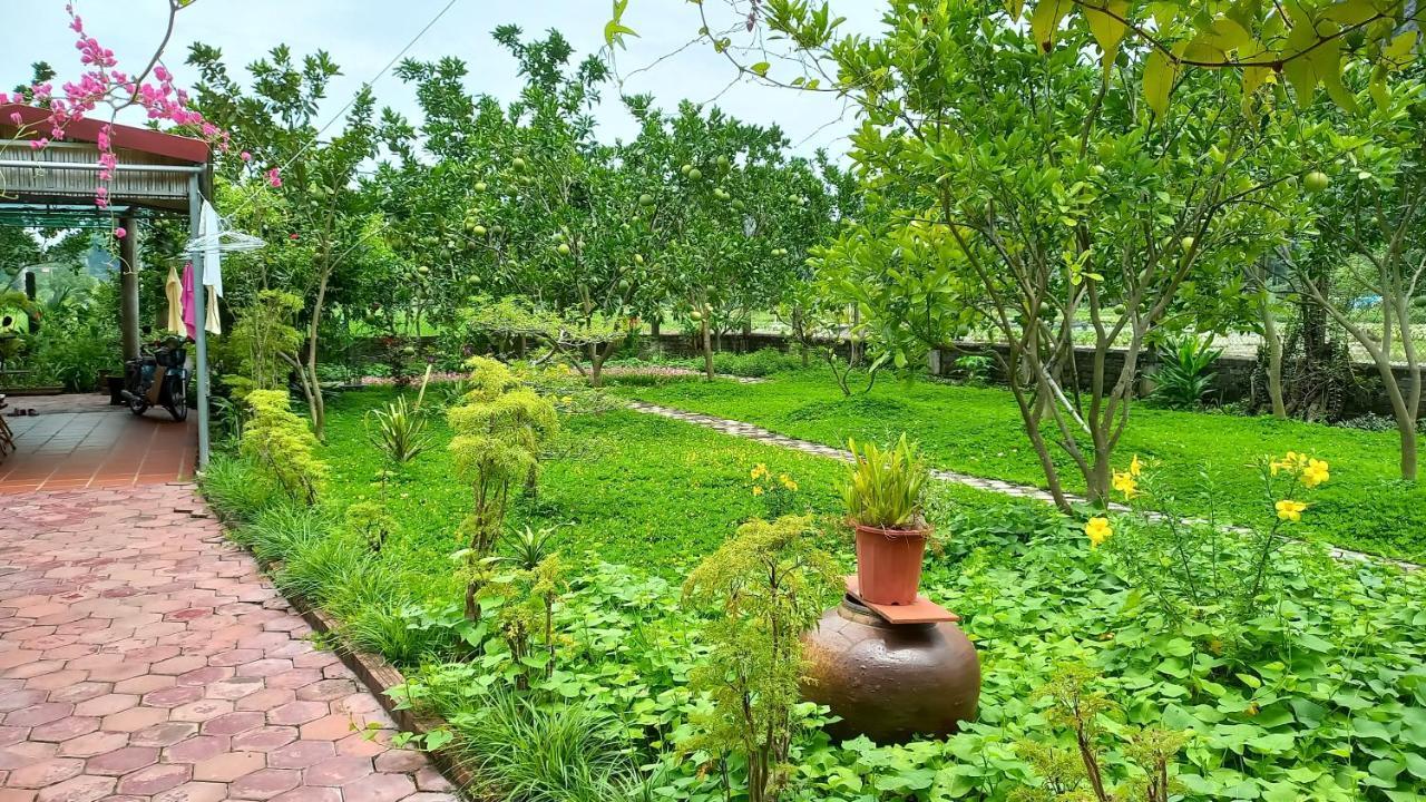 Yen Binh Homestay Ninh Bình Ngoại thất bức ảnh