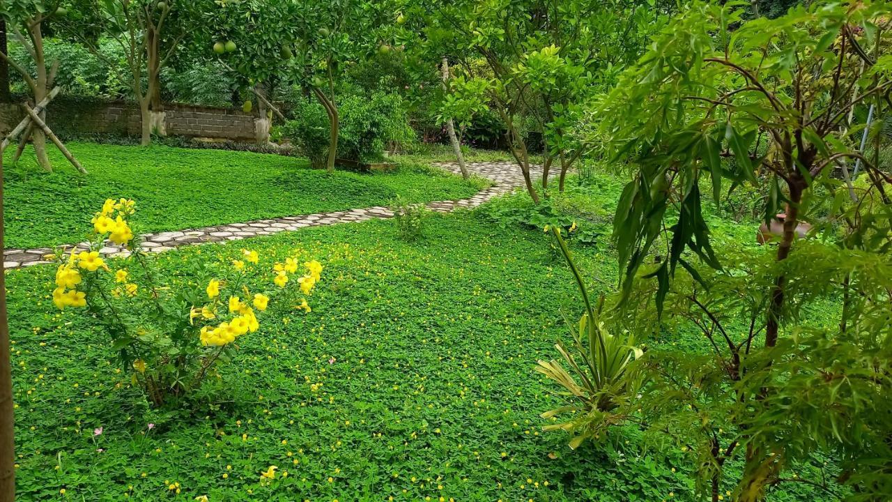 Yen Binh Homestay Ninh Bình Ngoại thất bức ảnh