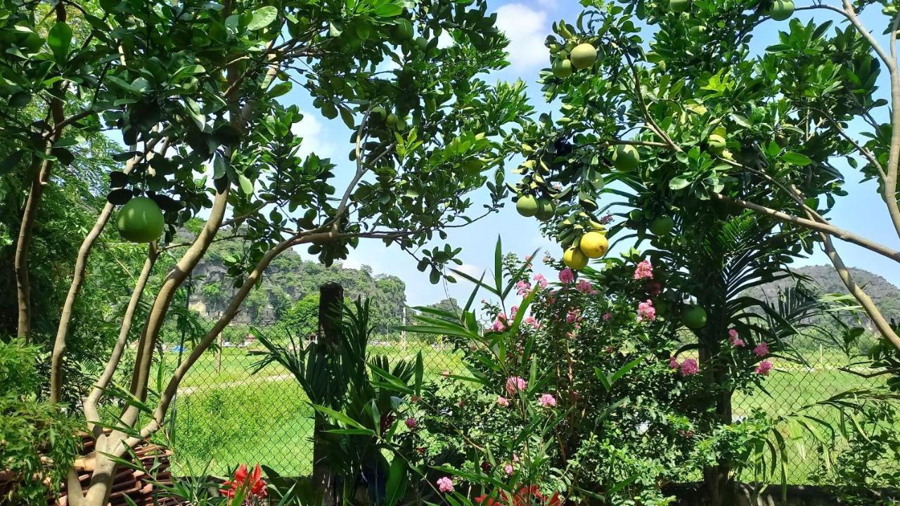 Yen Binh Homestay Ninh Bình Ngoại thất bức ảnh