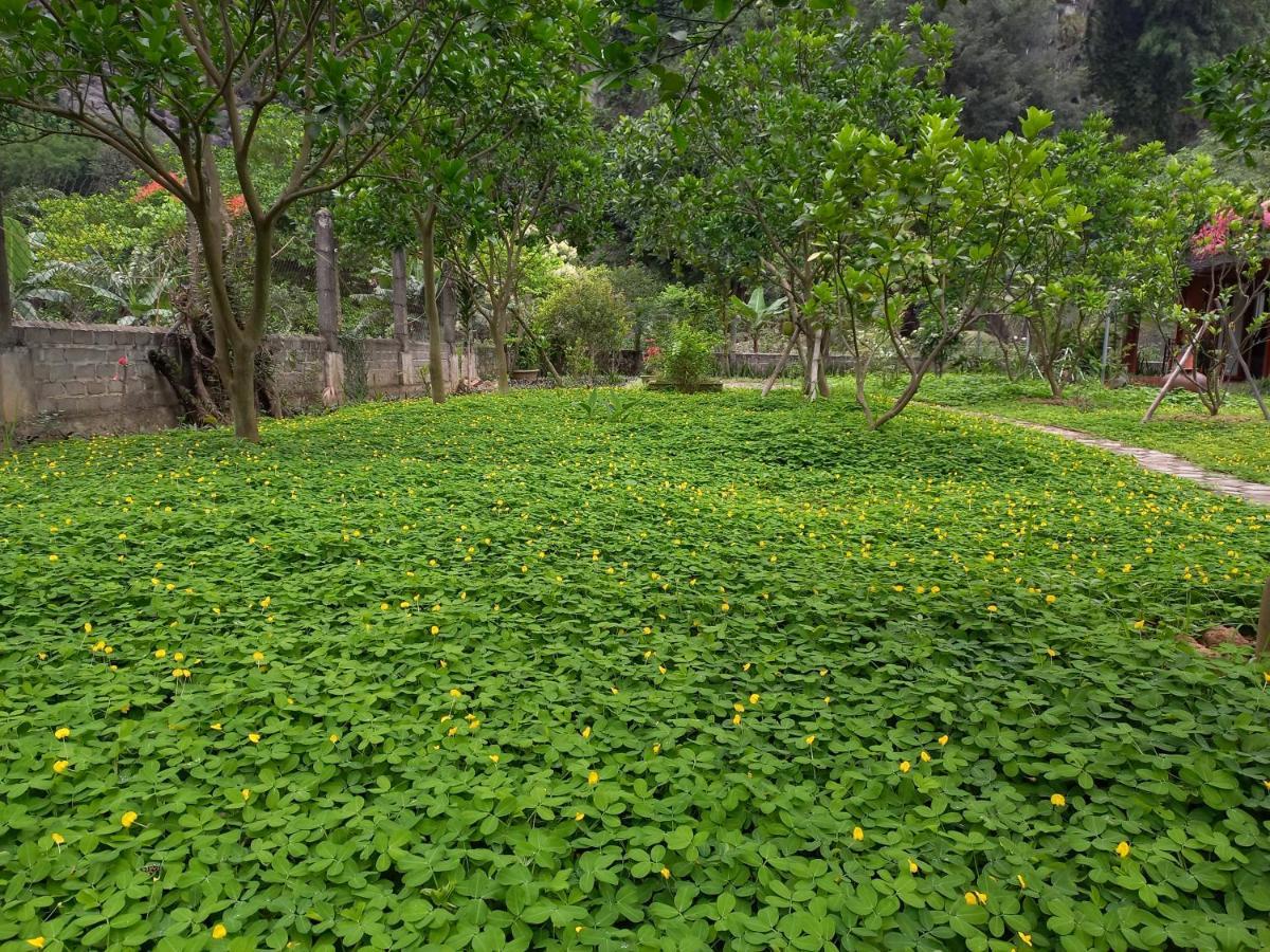 Yen Binh Homestay Ninh Bình Ngoại thất bức ảnh