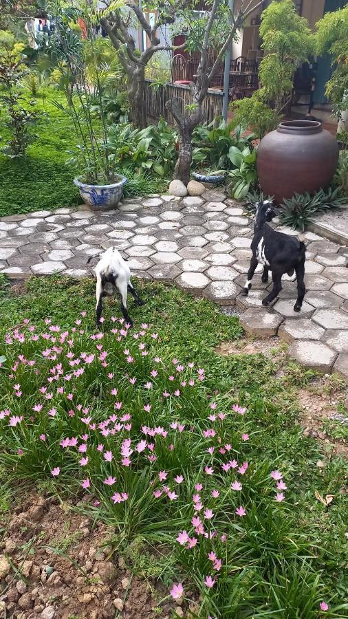 Yen Binh Homestay Ninh Bình Ngoại thất bức ảnh