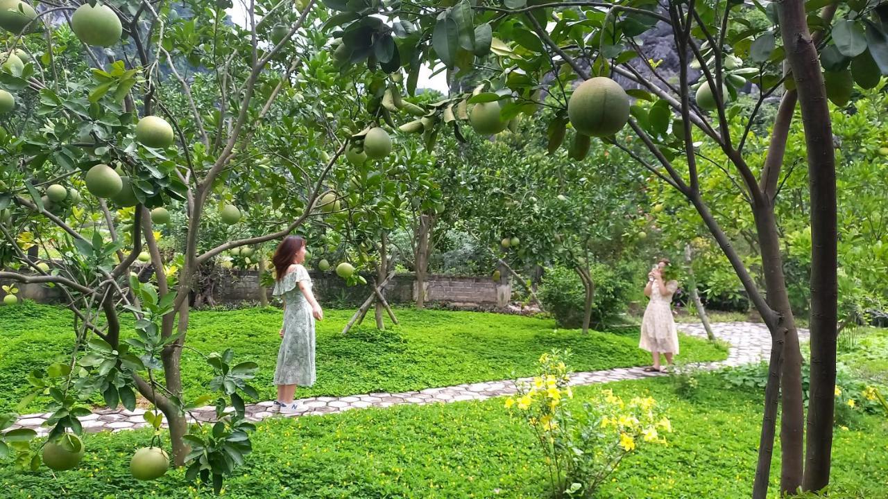 Yen Binh Homestay Ninh Bình Ngoại thất bức ảnh