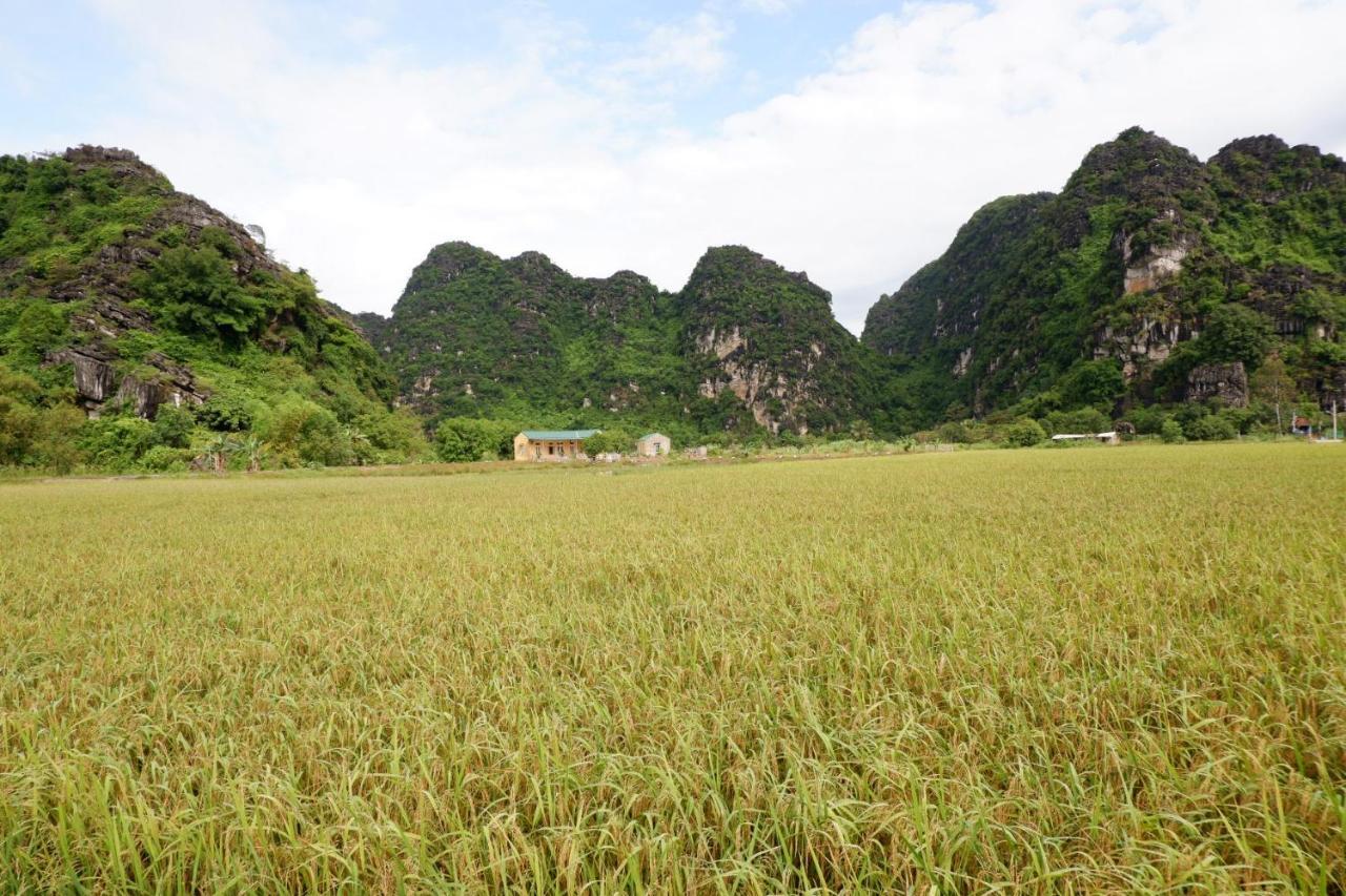 Yen Binh Homestay Ninh Bình Ngoại thất bức ảnh